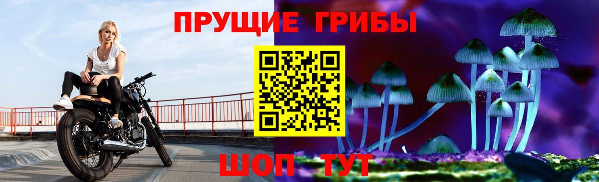 Псилоцибиновые грибы Psilocybe  Вход с VPN  Дзержинский 